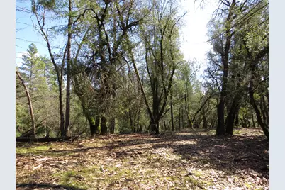 0 Forest Lake Place, Colfax, CA 95713 - Photo 1