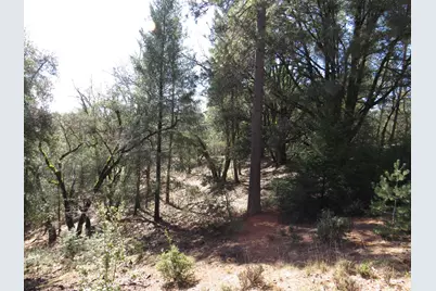 0 Forest Lake Place, Colfax, CA 95713 - Photo 11