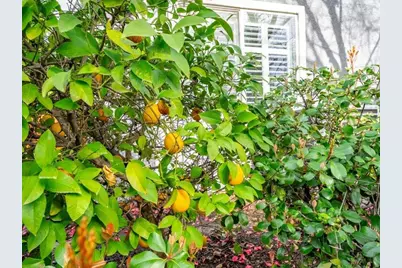 316 Sandstone Court, Roseville, CA 95747 - Photo 63