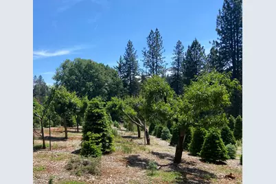 2640 Sky Ranch Lane, Camino, CA 95709 - Photo 63