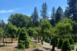 2640 Sky Ranch Ln, Camino, CA 95709 - Photo 63