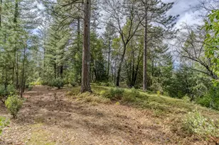 0 Volcano Trail, Pioneer, CA 95666 - Photo 1