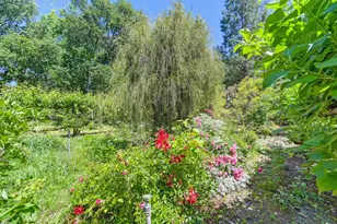 5424 Fair Oaks Blvd, Carmichael, CA 95608 - Photo 59