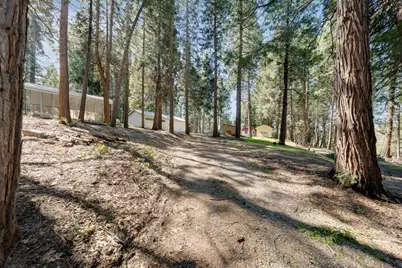 4468 Bushwacker Lane, Pollock Pines, CA 95726 - Photo 59