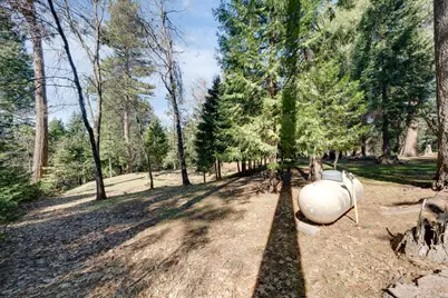 4468 Bushwacker Lane, Pollock Pines, CA 95726 - Photo 63
