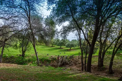 8560 Bar Crest Drive, Placerville, CA 95667 - Photo 5