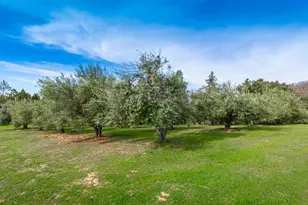 8560 Bar Crest Dr, Placerville, CA 95667 - Photo 77