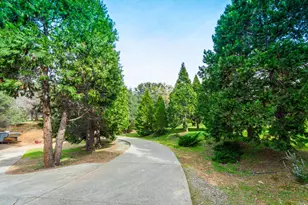 8560 Bar Crest Dr, Placerville, CA 95667 - Photo 9