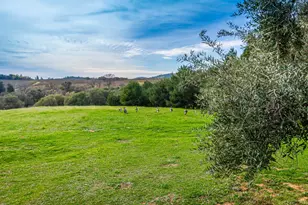 8560 Bar Crest Dr, Placerville, CA 95667 - Photo 75