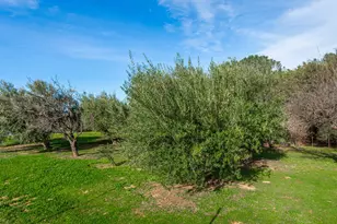 8560 Bar Crest Dr, Placerville, CA 95667 - Photo 67