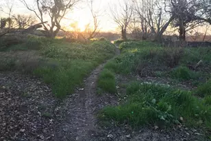 5720 Riverside Blvd, Sacramento, CA 95822 - Photo 47