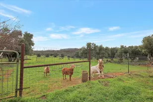 5423 Virginia Rd, Marysville, CA 95901 - Photo 67