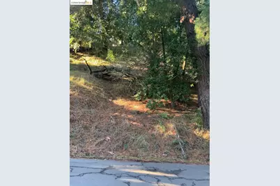 6825 Saroni Drive, Oakland, CA 94611 - Photo 5