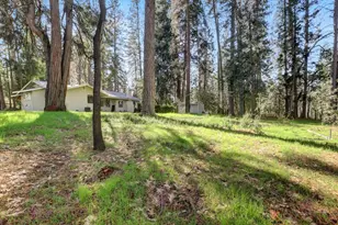 10856 Terrace Pines Ct, Grass Valley, CA 95945 - Photo 53