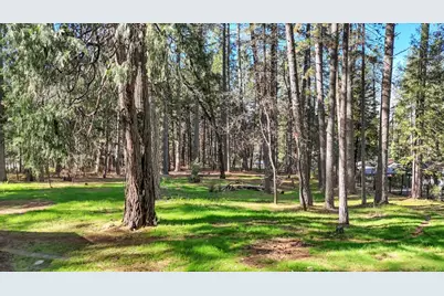 10856 Terrace Pines Court, Grass Valley, CA 95945 - Photo 45