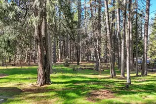 10856 Terrace Pines Ct, Grass Valley, CA 95945 - Photo 45