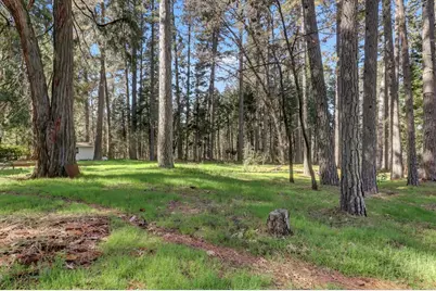 10856 Terrace Pines Court, Grass Valley, CA 95945 - Photo 55