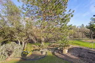 2249 Cold Springs Rd, Placerville, CA 95667 - Photo 47