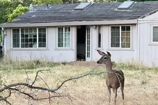 3244 Panama Ave, Carmichael, CA 95608 - Photo 3