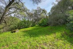 6885 Chaparral Ln, Newcastle, CA 95658 - Photo 43