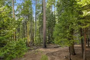 4909 Hokan Cir, Arnold, CA 95223 - Photo 3