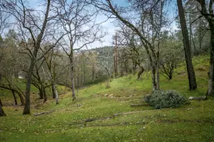 17678 Minnow Way, Penn Valley, CA 95946 - Photo 13