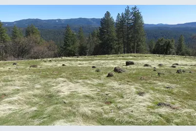 1975 Ridgecrest Way, West Point, CA 95255 - Photo 59