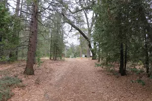 1975 Ridgecrest Way, West Point, CA 95255 - Photo 37