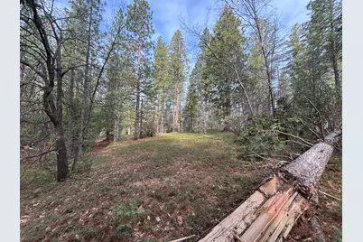 245 Heron Court, Avery, CA 95224 - Photo 9