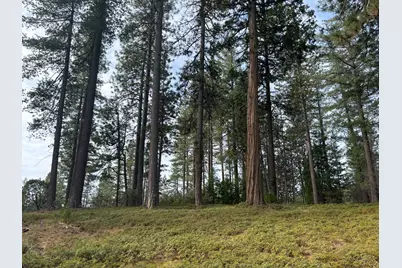 245 Heron Court, Avery, CA 95224 - Photo 5