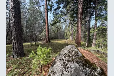 245 Heron Court, Avery, CA 95224 - Photo 1