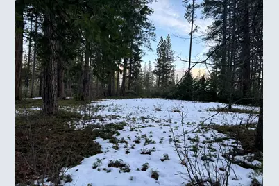 164 Vireo Court, Avery, CA 95224 - Photo 1