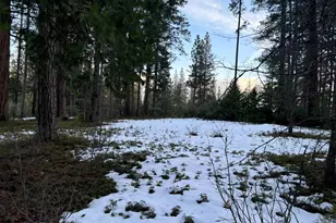 164 Vireo Ct, Avery, CA 95224 - Photo 1