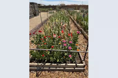 9173 Vervain Way, Sacramento, CA 95829 - Photo 55