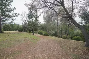 16375 Jesus Maria Rd, Mokelumne Hill, CA 95245 - Photo 39