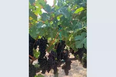 7714 Briarberry Way, El Dorado Hills, CA 95762 - Photo 31