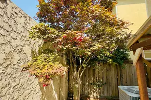 323 Autumn Rain Dr, Lathrop, CA 95330 - Photo 15