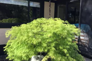 1555 Naturewood Dr, Meadow Vista, CA 95722 - Photo 81