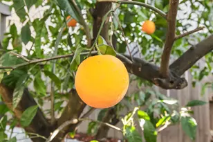 2216 Bryce Ln, Davis, CA 95616 - Photo 45