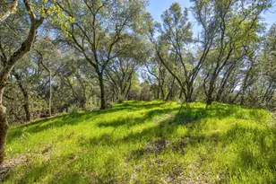 13088 Trembath Mountain Rd, Fiddletown, CA 95629 - Photo 85