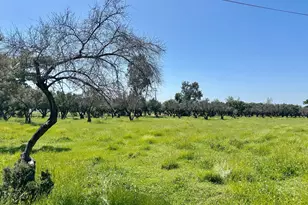 2815 Louis Ave, Oroville, CA 95966 - Photo 15