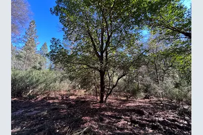 11684 Serendipity Lane, Nevada City, CA 95959 - Photo 33