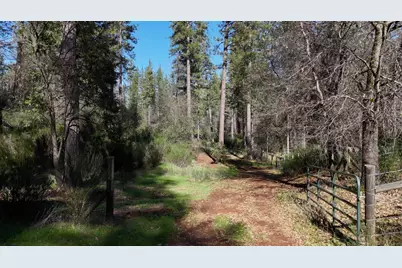 11684 Serendipity Lane, Nevada City, CA 95959 - Photo 31