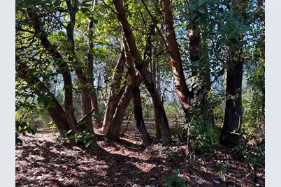 11684 Serendipity Lane, Nevada City, CA 95959 - Photo 37