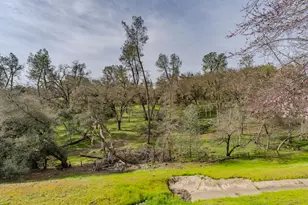 Rollingwood Dr, Jackson, CA 95642 - Photo 37