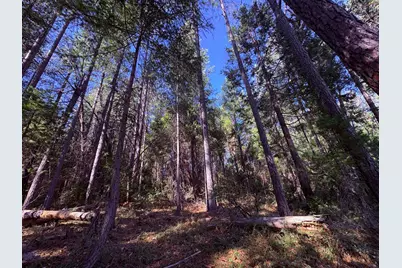 18853 N Canyon Road, Nevada City, CA 95959 - Photo 7