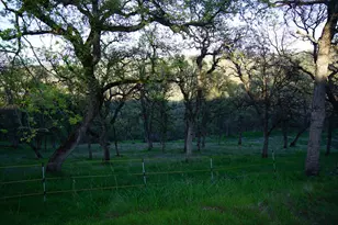 7326 Nugget Trail, Smartsville, CA 95977 - Photo 73