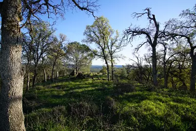 7326 Nugget Trail, Smartsville, CA 95977 - Photo 35