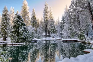 1190 Lili Valley Circle, West Point, CA 95255 - Photo 83