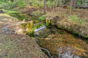 1190 Lili Valley Circle, West Point, CA 95255 - Photo 29